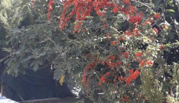 Logement �tudiant Studio &agrave; Nice (06100)