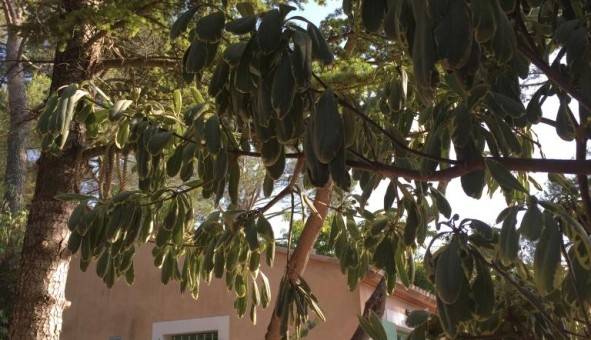 Logement �tudiant Studio &agrave; N�mes (30000)