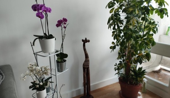 Logement tudiant Studio à Noisy le Grand (93160)