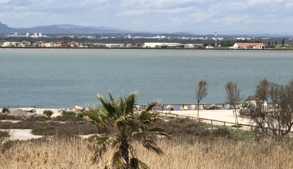 Logement tudiant Studio à Palavas les Flots (34250)