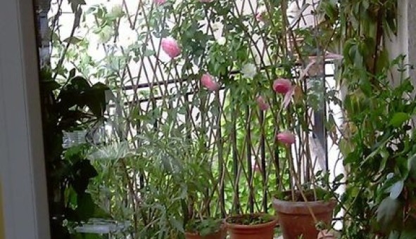 Logement �tudiant Studio &agrave; Paris 05�me arrondissement (75005)