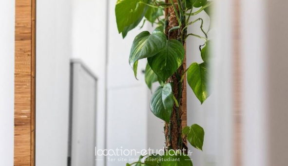 Logement tudiant Studio à Paris 11me arrondissement (75011)