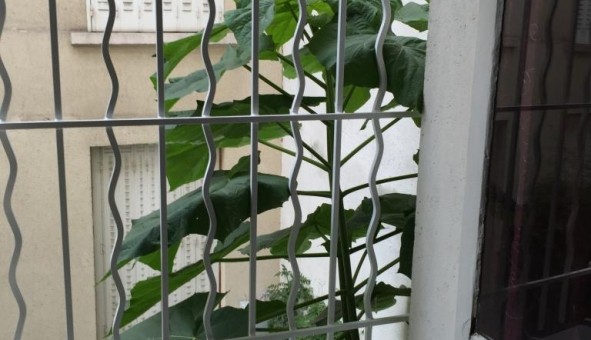 Logement tudiant Location Studio Vide Paris 13me arrondissement (75013)