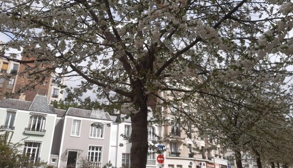 Logement �tudiant Studio &agrave; Paris 13�me arrondissement (75013)