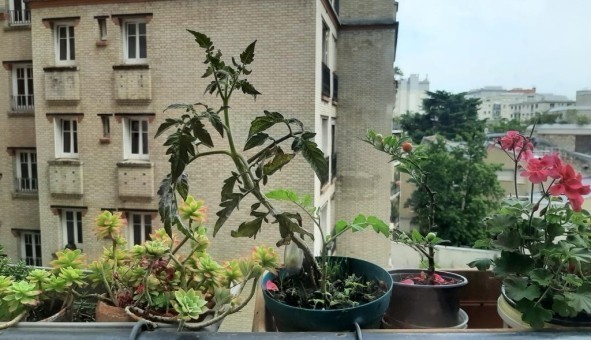 Logement �tudiant Studio &agrave; Paris 14�me arrondissement (75014)