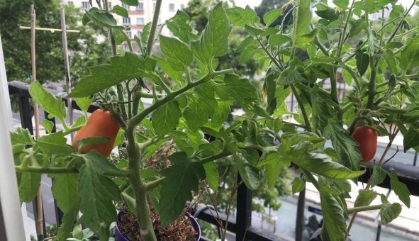 Logement �tudiant Studio &agrave; Paris 14�me arrondissement (75014)