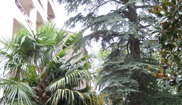 Logement étudiant Location Studio Vide Pau (64000)