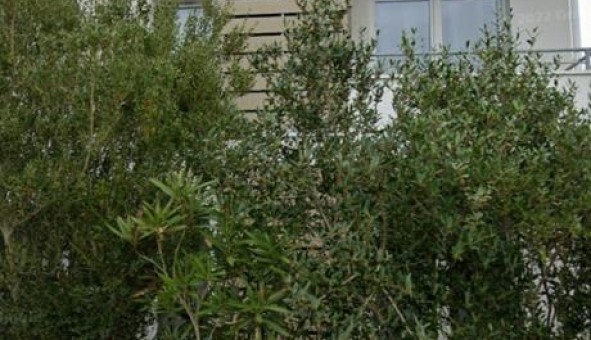 Logement tudiant Location Studio Vide Prigny (17180)