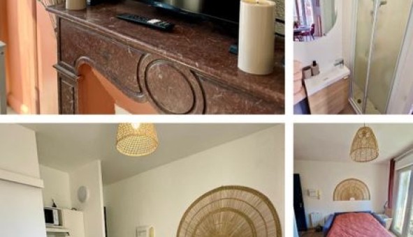 Logement �tudiant Studio &agrave; Perpignan (66100)