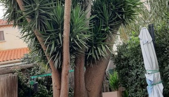 Logement �tudiant Studio &agrave; Perpignan (66100)