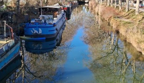 Logement �tudiant Studio &agrave; Ramonville Saint Agne (31520)