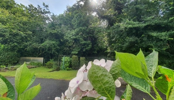 Logement �tudiant Studio &agrave; Rez� (44400)