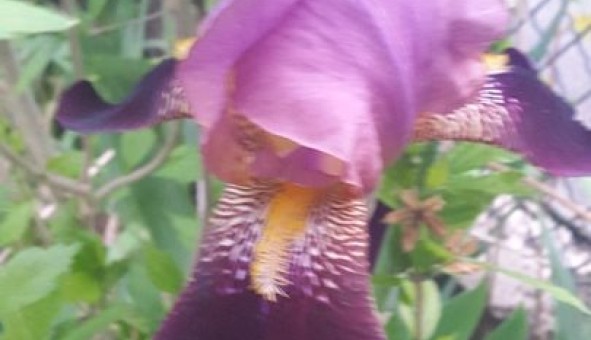 Logement �tudiant Studio &agrave; Ris Orangis (91000)