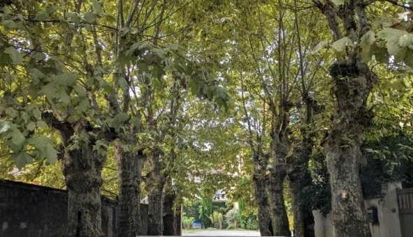 Logement tudiant Studio à Saint Didier au Mont d'Or (69370)