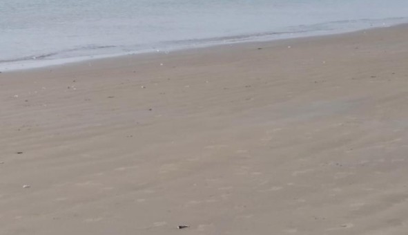 Logement tudiant Studio à Saint Georges de Didonne (17110)