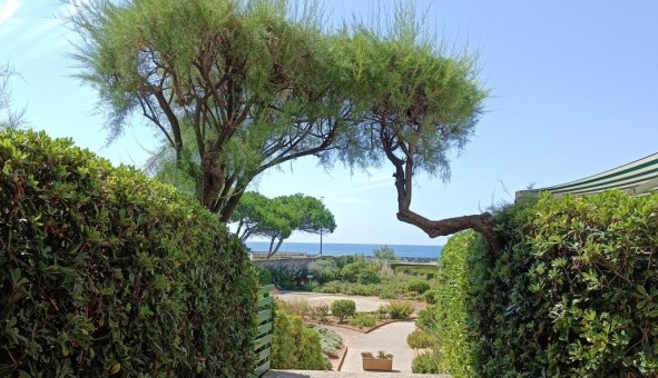 Logement �tudiant Studio &agrave; S�te (34200)