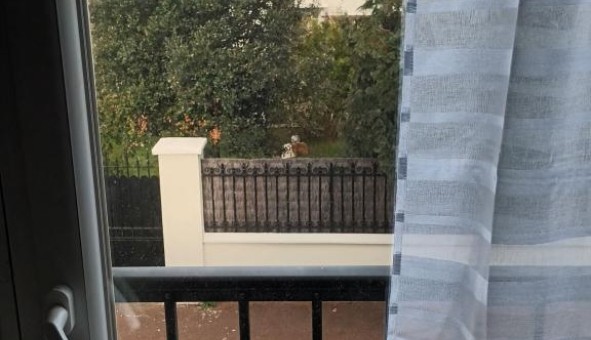 Logement �tudiant Studio &agrave; S�vres (92310)