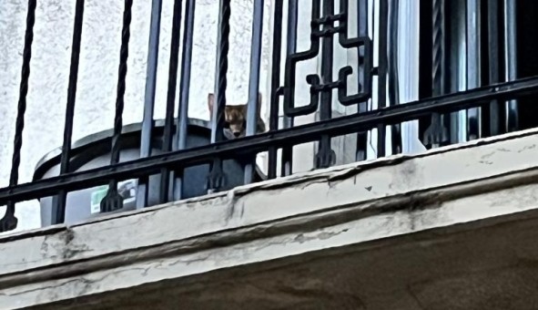 Logement tudiant Studio à Strasbourg (67000)