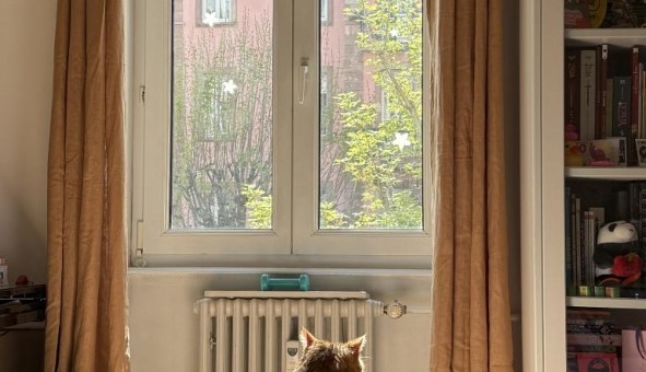 Logement tudiant Studio à Strasbourg (67000)