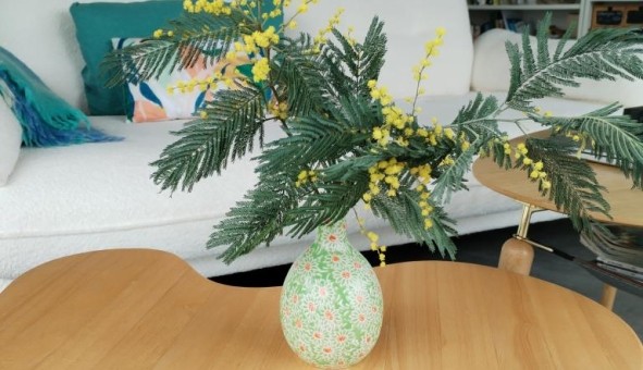 Logement tudiant Studio à Tarnos (40220)