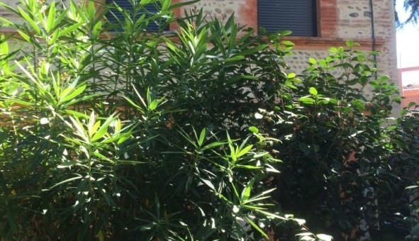 Logement tudiant Studio à Toulouse (31500)