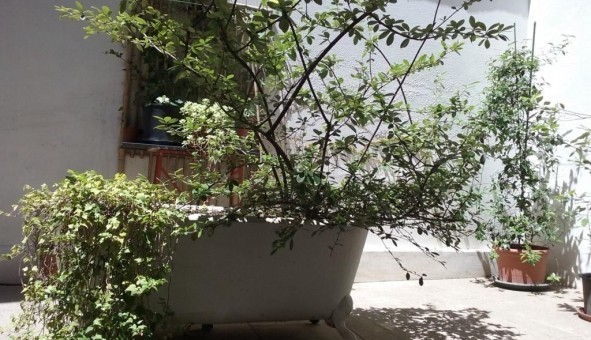 Logement tudiant Studio à Toulouse (31500)