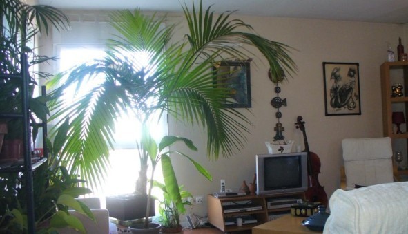 Logement tudiant Studio à Toulouse (31500)