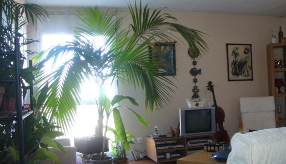 Logement tudiant Location Studio Vide Toulouse (31500)