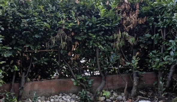 Logement �tudiant Studio &agrave; Toulouse (31500)