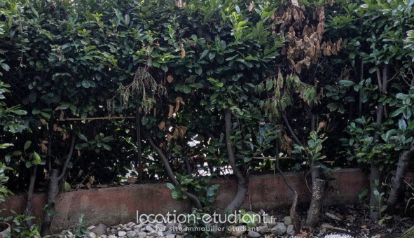 Logement �tudiant Studio &agrave; Toulouse (31500)