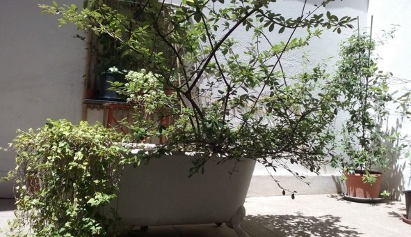 Logement �tudiant Studio &agrave; Toulouse (31500)