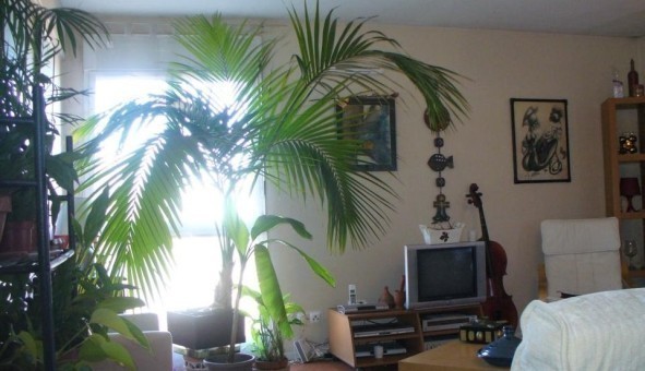 Logement �tudiant Studio &agrave; Toulouse (31500)