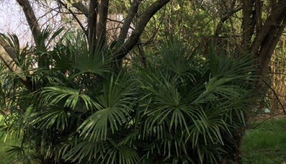 Logement �tudiant Studio &agrave; Toulouse (31500)