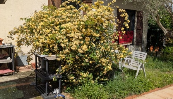 Logement �tudiant Location Studio Vide Toulouse (31500)