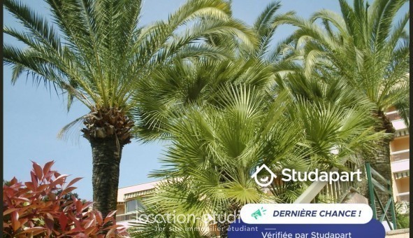 Logement �tudiant Studio &agrave; Vallauris (06220)