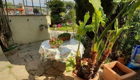 Logement �tudiant Studio &agrave; Vallauris (06220)