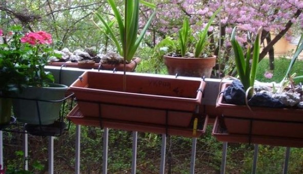 Logement �tudiant Studio &agrave; Vanves (92170)