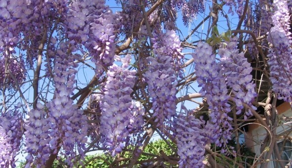 Logement tudiant Studio à Velaux (13880)