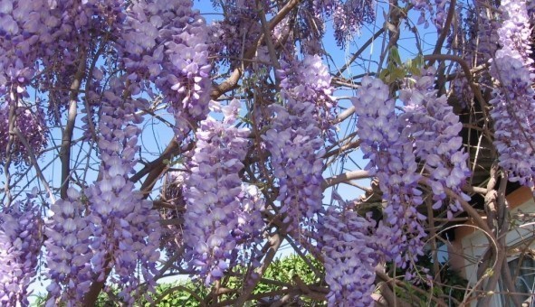 Logement �tudiant Studio &agrave; Velaux (13880)