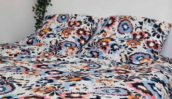 Logement tudiant Studio à Villeurbanne (69100)