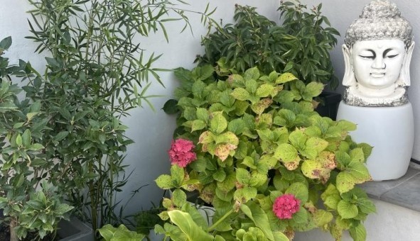 Logement �tudiant Studio &agrave; Villeurbanne (69100)