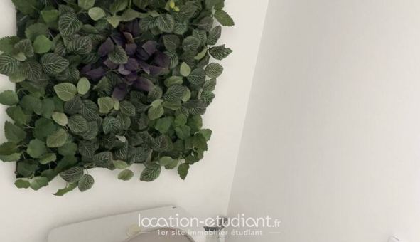 Logement étudiant Studio &agrave; Antibes (06160)