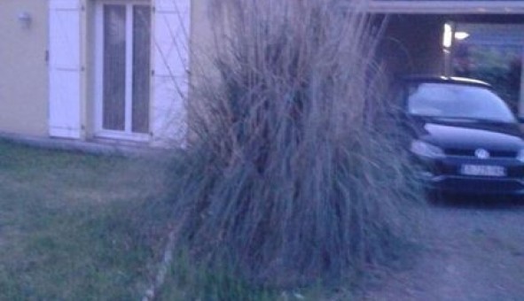 Logement �tudiant T1 &agrave; Arbus (64230)