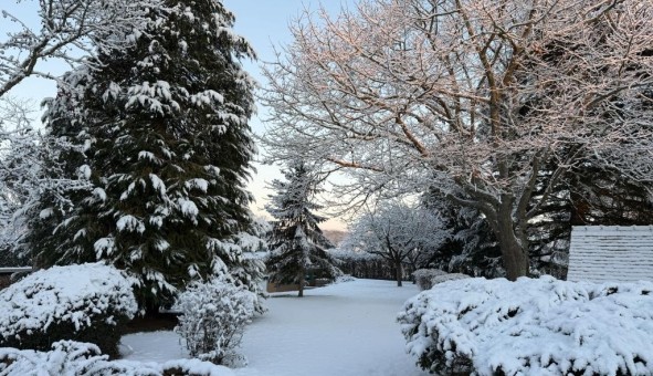 Logement �tudiant T1 &agrave; Brains sur G�e (72550)