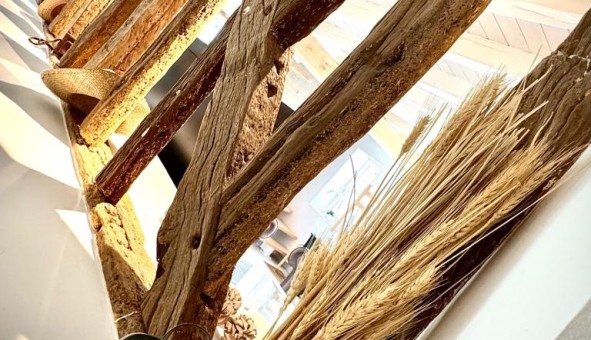 Logement �tudiant T1 &agrave; Brains sur G�e (72550)