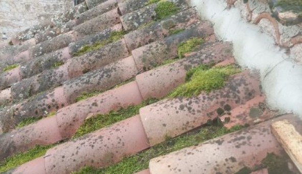 Logement tudiant T2 à Albas (46140)