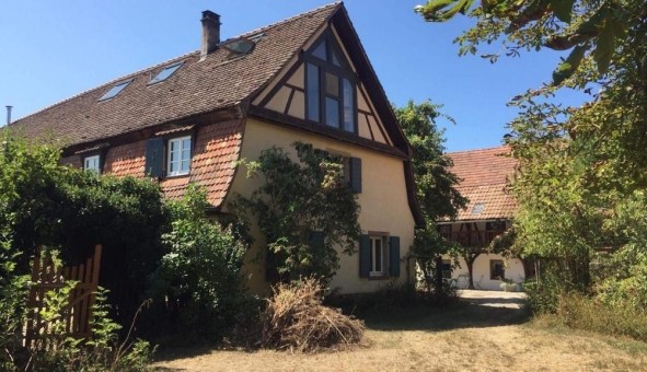 Logement tudiant T2 à Algolsheim (68600)