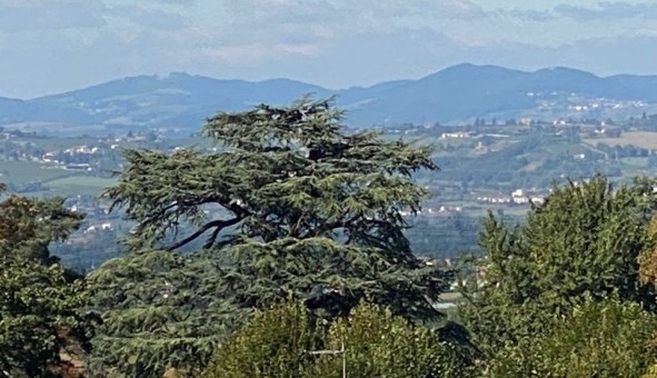 Logement �tudiant T2 &agrave; Alix (69380)