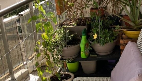 Logement tudiant T2 à Anglet (64600)