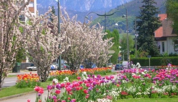 Logement �tudiant Location T2 Vide Annecy (74000)